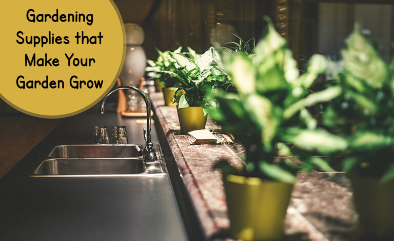 Indoor Plants in kitchen Near Sink