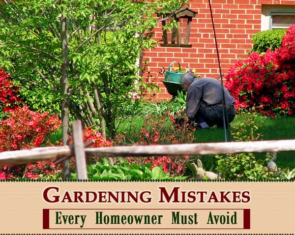 Gardening Mistakes - Every Homeowner Must Avoid