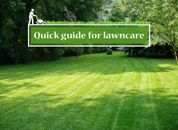 Lawn Care for New Homeowners