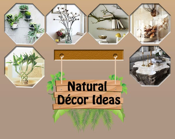 Natural Décor Ideas