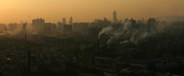 Pollution in Urban City - Air purifying Plants