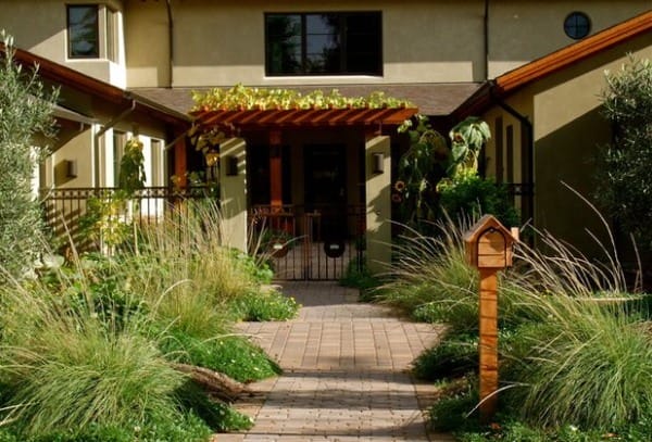 Fountain Grass for the garden and house