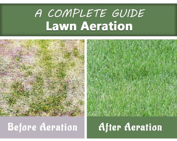 Aerating Your Lawn