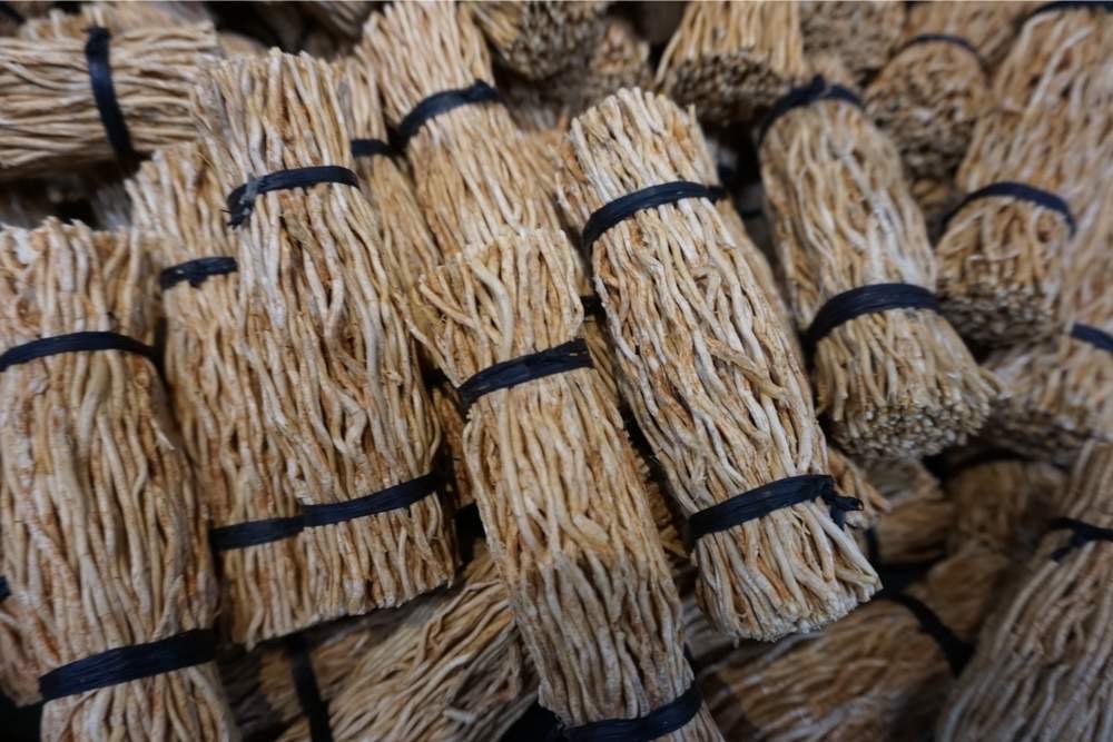 Drying Vetiver Roots