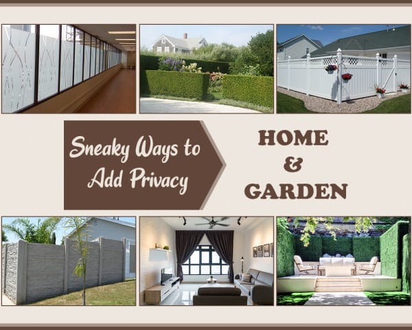Home and Garden Privacy Ideas