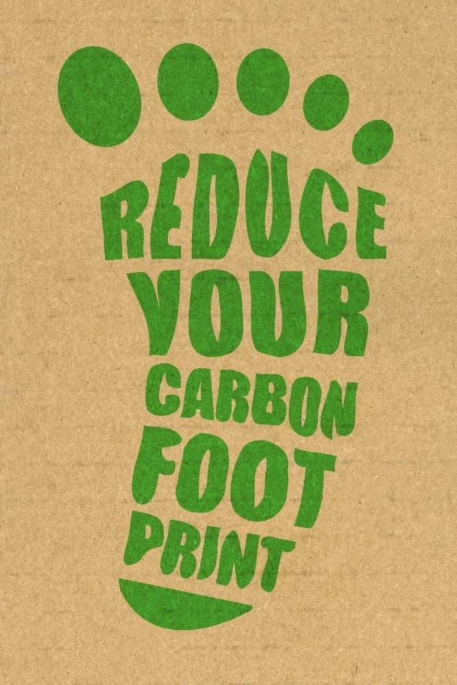 Low Carbon Footprint