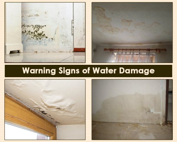 Warning Signs of Water Damage in Home