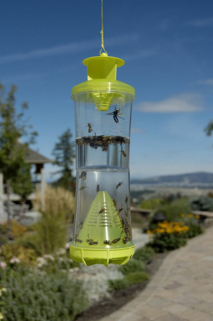 Bug Trap