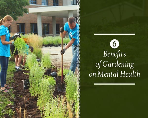 Benefits of Gardening on Mental Health