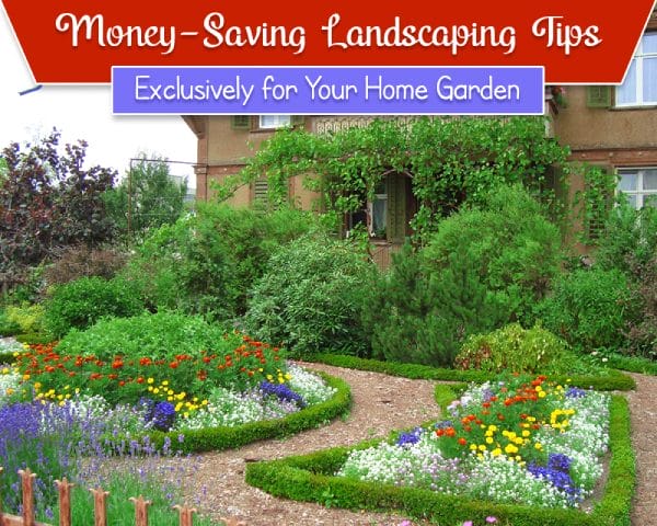 Money-Saving Landscaping Tips - Exclusively for Your Home Garden