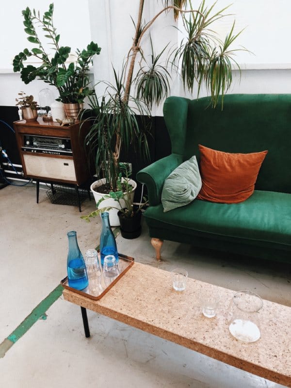 Add Plants & Make it Lighter - make your small living room look bigger