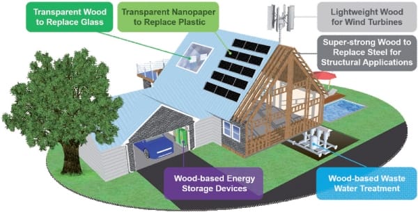 Application of Transparent Wood