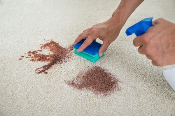 Cleaning of Carpet by Baking Soda
