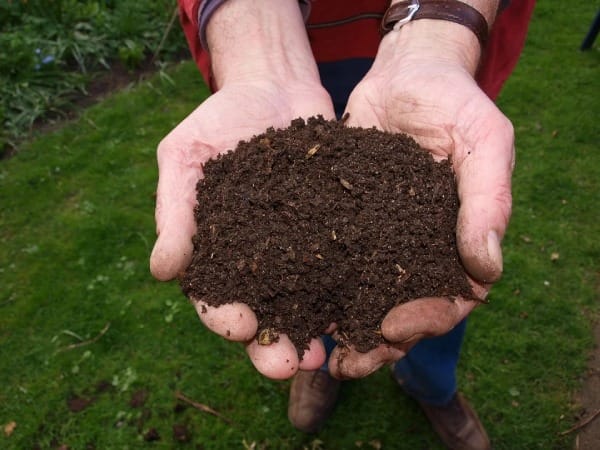 Creating a Home Compost