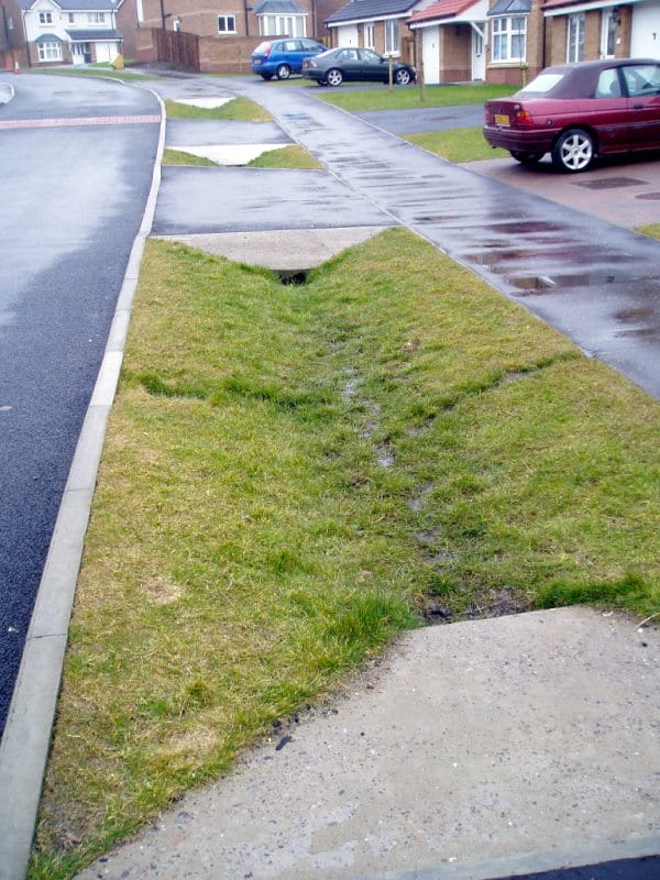 Green Lawn - Swale