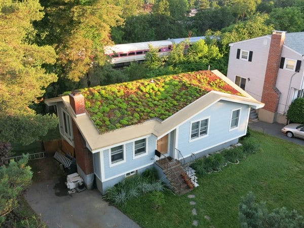 Green Roof