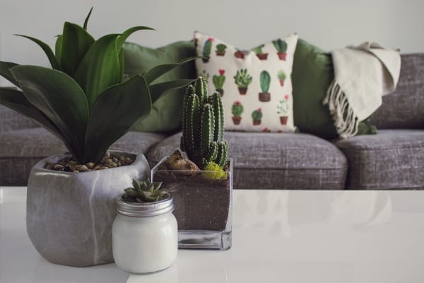 Home Decor and Low VOC Paints