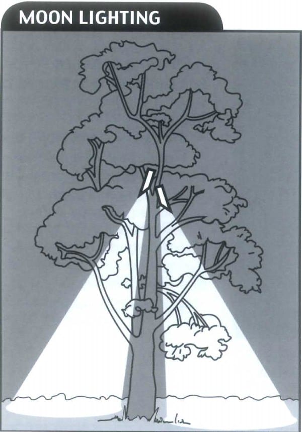 Illustration for Moonlighting