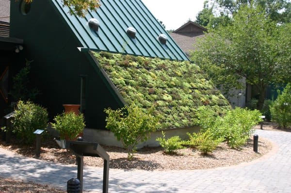 Living Roof - Green Roof