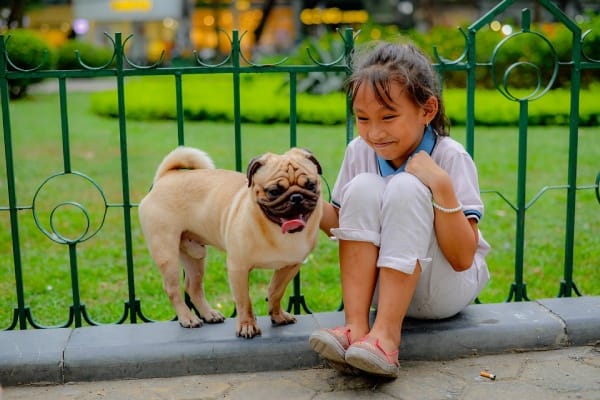 Maintain The Safety Of Your Children And Pets due to Fencing