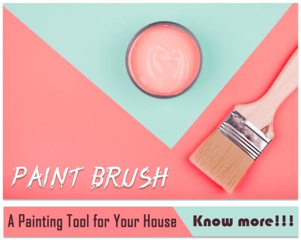 Paint Brush