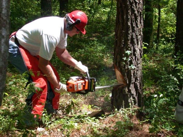 Protective Gear for Chainsaw