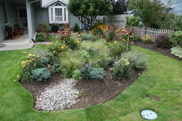 Rain Garden