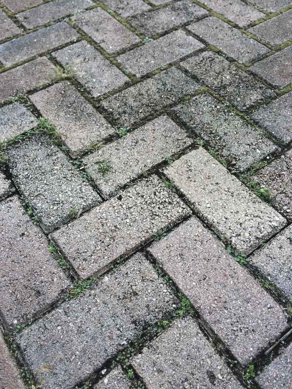 Remove Weeds from Paver Stone