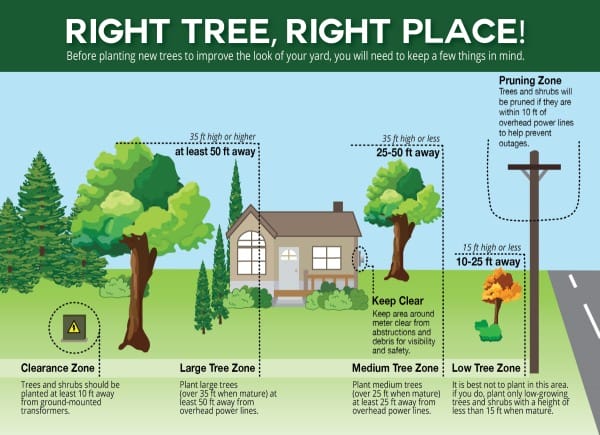 Right Trees at Right Place