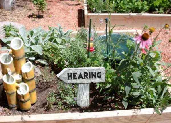 Sense of Hearing in Sensory Garden