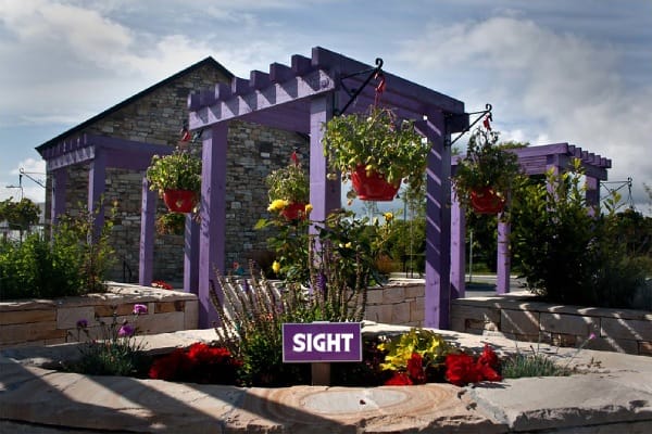 Sense of Sight in Sensory Garden