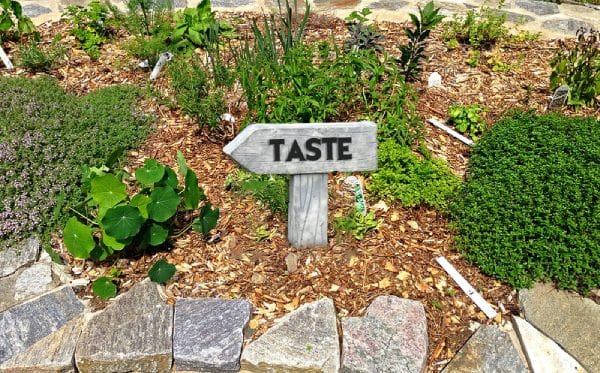 Sense of Taste in Sensory Garden