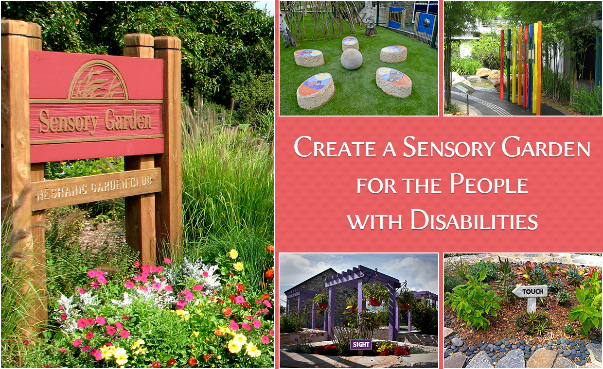 Sensory Garden