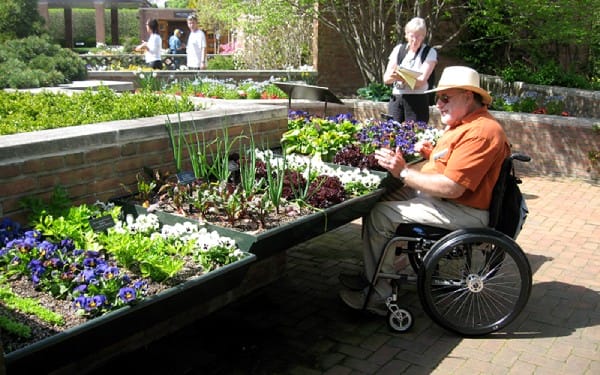 Sensory Garden for Disabled
