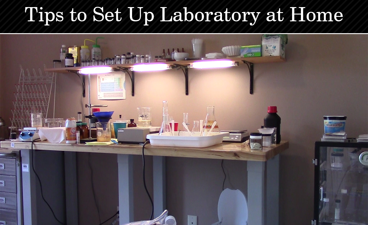 Tips to Set Up Laboratory at Home