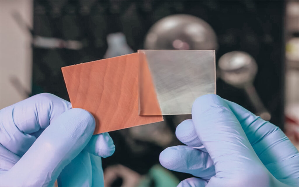 Transparent Wood The Building Material of Future