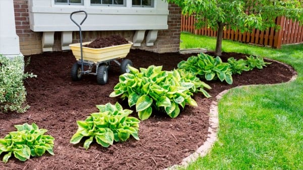Using Heavy Mulch in Garden