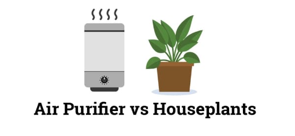 Air Purifier vs Houseplants
