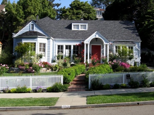 Appealing Look with Landscape