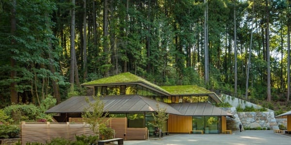 Artistic Outdoor Areas
