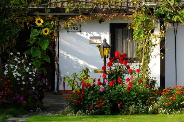 Availability of Natural Light