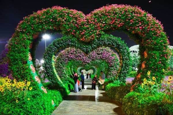 Creative Landscape