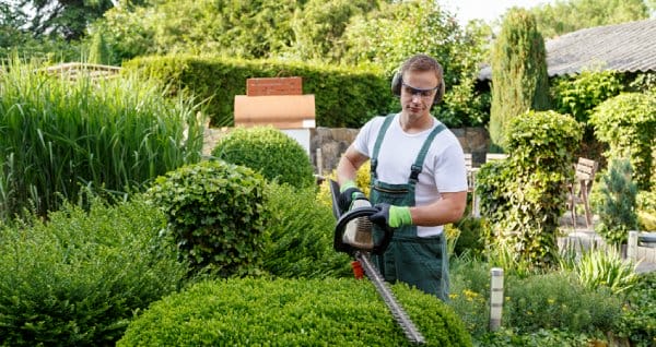 Entry Level Construction Job of Landscape Laborer