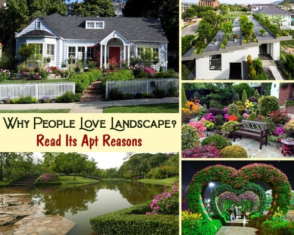 Landscape architecture
