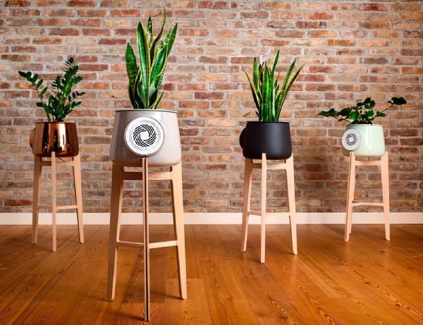 Natural Air Purifier