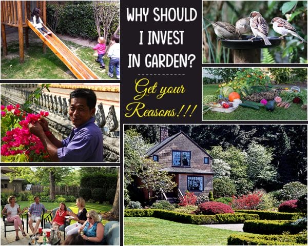 Reasons to invest in garden – Garden Investment