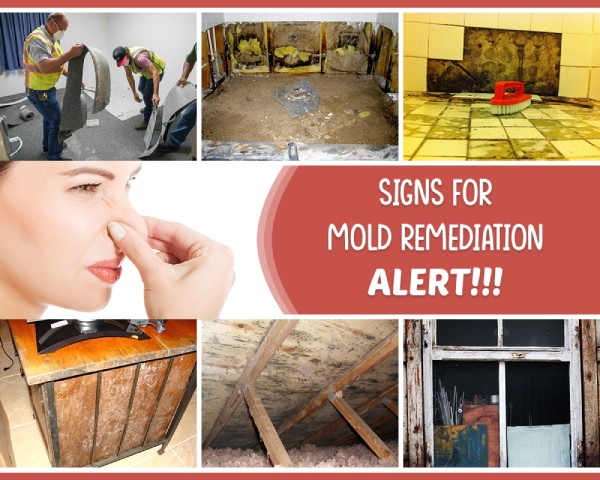 Sign for Mold Remediation