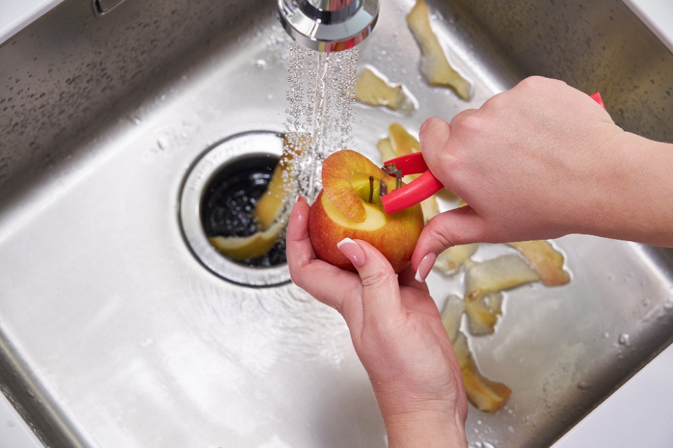 Vegetable Scraps in Garbage Disposal