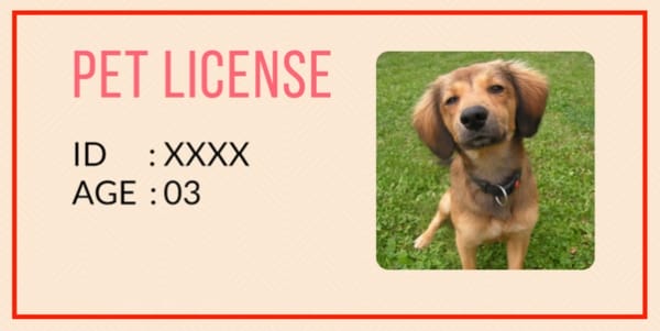 Pet Identity Card