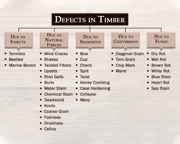 Types of Defects in Timber